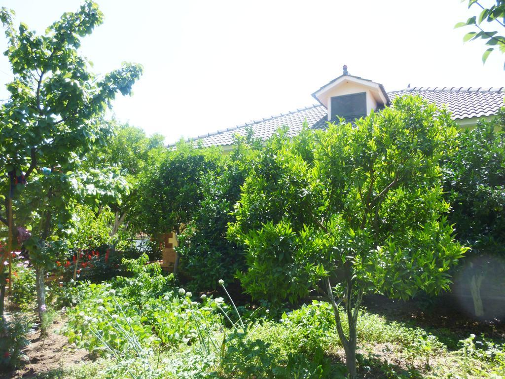Vila Altini Borsh Buitenkant foto